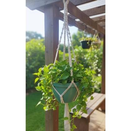 Imagem de Kit 3 Suportes Macramê Pendentes, Arranjos de Cordas Suspenso, Presente Decorativo Artesanal