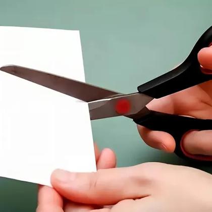 Imagem de kit 3 tesouras multiuso