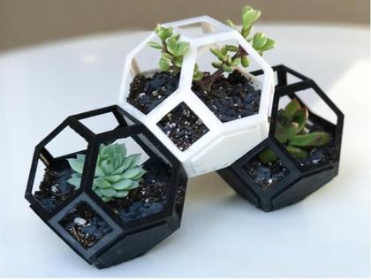 Imagem de Kit 3 Vasinhos Suculenta Geométrico Muito Legal