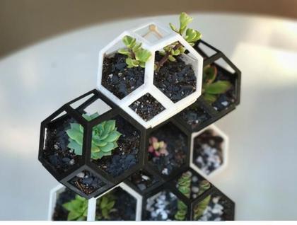 Imagem de Kit 3 Vasinhos Suculenta Geométrico Muito Legal