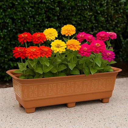 Imagem de Kit 3 Vasos Jardineira Floreira Grande Plástico Resistente 6L