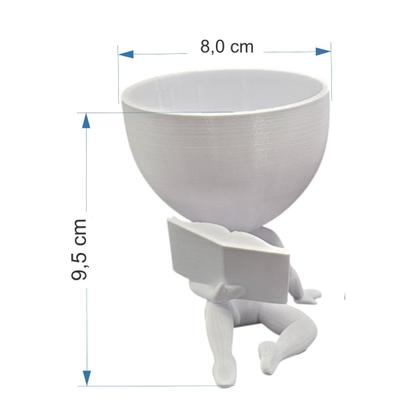 Imagem de Kit 3  Vasos Planta Nossa Senhora de Fatima Capelinha Oração