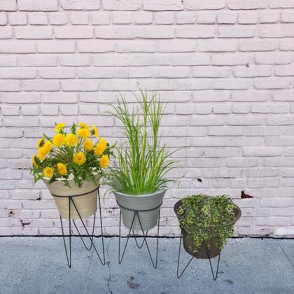 Imagem de Kit 3 Vasos Planta Taça com Suporte Grid