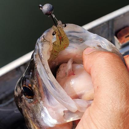 Imagem de Kit 30pçs Jig Head Black Nickel 2/0 3/0 4/0 + Estojo Robalo