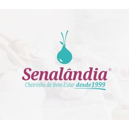 Imagem de Kit 4 Aromatizador de Ambiente Algas Marinhas 280ml Difusor Aromas Vareta Senalândia Top - Envio Já