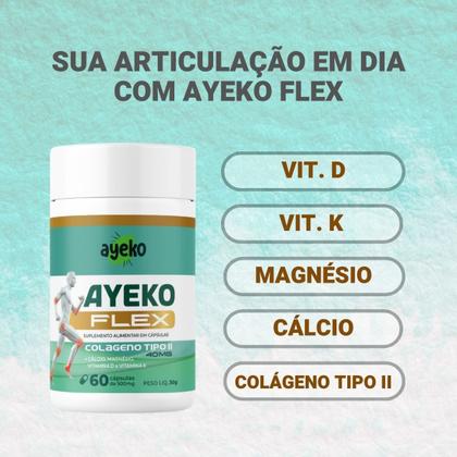 Imagem de Kit 4 Ayekoflex (colágeno Tipo 2 + Associações) 60caps