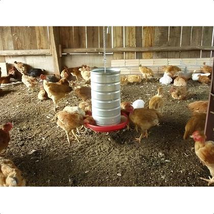 Imagem de Kit 4 Comedouro Tubular 5kg p/ Frango Aves Galinha Faisão