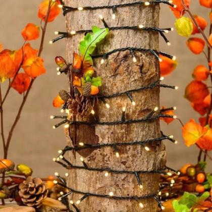 Imagem de Kit 4 Cordão 300 Leds C/ Função 30m Morno Fio Verde 31V