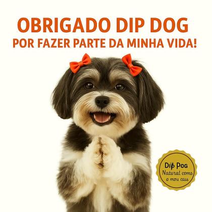 Imagem de Kit 4 Orelhas Bovina Natural Dip Dog Petisco para Pets 