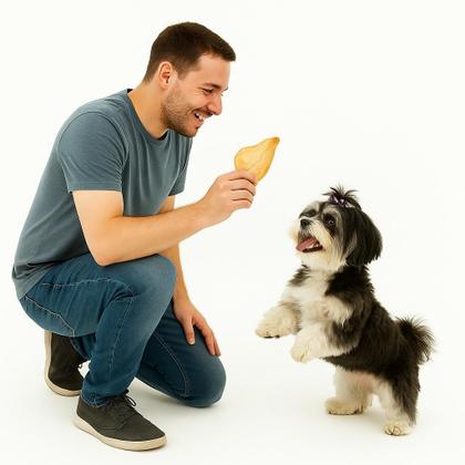 Imagem de Kit 4 Orelhas Bovina Natural Dip Dog Petisco para Pets 