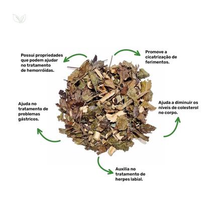 Imagem de Kit 4 Pct Chá De Guaçatonga - Casearia Sylvestris - 100G