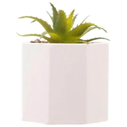 Imagem de Kit 5 Cachepot De Cimento Com Suculenta 7,5x9,5cm Wolff Geométrico Decoração Artificial Casa