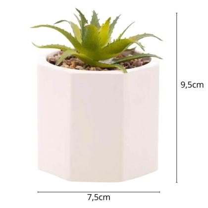 Imagem de Kit 5 Cachepot De Cimento Com Suculenta 7,5x9,5cm Wolff Geométrico Decoração Artificial Casa