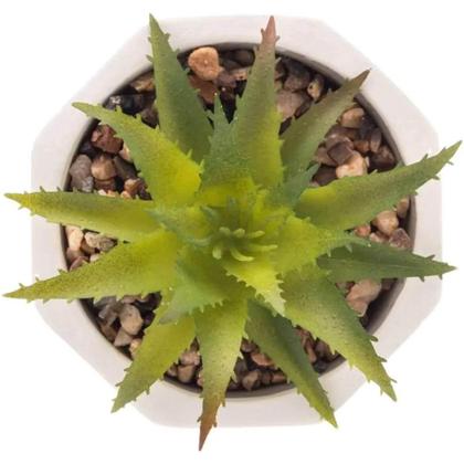 Imagem de Kit 5 Cachepot De Cimento Com Suculenta 7,5x9,5cm Wolff Geométrico Decoração Artificial Casa