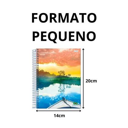 Imagem de Kit 5 Caderno Espiral 1/4 Capa Flexível 96F Brasilidade Jandaia