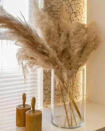 Imagem de Kit 5 Haste Pluma Natural Para Decoração Capim Dos Pampas