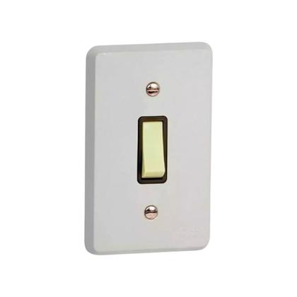 Imagem de Kit 5 Interruptor Simples 10A/250V c/placa  Cinza Iriel 1302