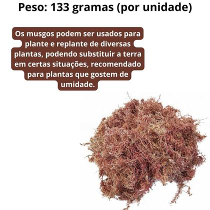 Imagem de Kit 5 Musgos Sphagnum 5 Litros Substrato Substrato Premium Para Plantas Orquídea Jardinagem Interna Externa