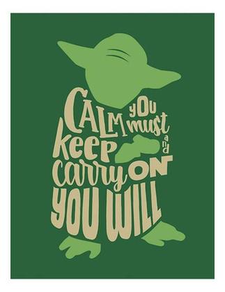 Imagem de Kit 5 Placas Calm You Must Keep And Carry On You Will 36X46