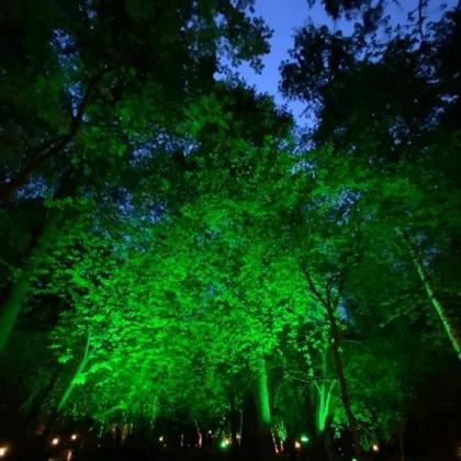 Imagem de Kit 5 Refletores Taschibra Led TR Slim 50W Verde Branco Bivolt