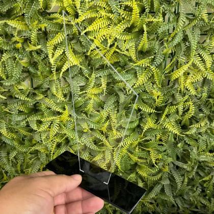 Imagem de Kit 5 Troféu Acrilico Cristal 2mm 10x18cm C/base Preta 3mm