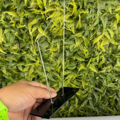 Imagem de Kit 5 Troféu Acrilico Cristal 2mm 10x18cm C/base Preta 3mm