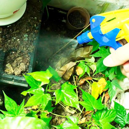 Imagem de Kit 5 Válvulas Gatilho Borrifador Trigger Spray Frascos Rosca Regulável Multiuso Pulverizador Limpeza