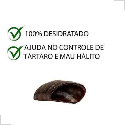 Imagem de Kit 6 Cascos Mordedor Bovinos Boi Natural Para Cães Brinquedo Cachorro Desidratada Osso Roer Petisco Higiene bucal Antistress Adestramentos Agrado