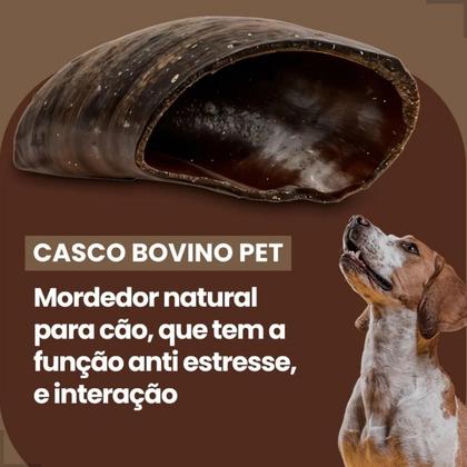Imagem de Kit 6 Cascos Mordedor Bovinos Boi Natural Para Cães Brinquedo Cachorro Desidratada Osso Roer Petisco Higiene bucal Antistress Adestramentos Agrado