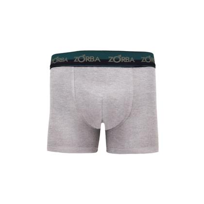 Imagem de Kit 6 Cuecas Zorba Boxer Max Algodão 702 Mescla - G