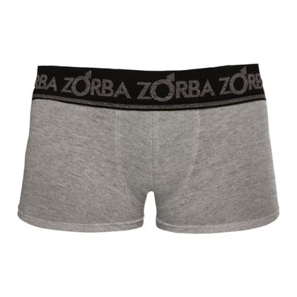 Imagem de Kit 6 Cuecas Zorba Boxer Plus 717 Mescla - GG