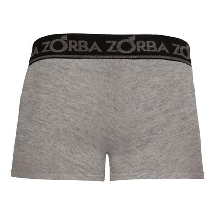 Imagem de Kit 6 Cuecas Zorba Boxer Plus 717 Mescla - GG