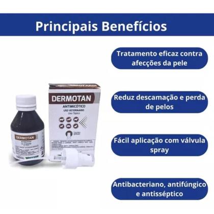 Imagem de Kit 6 Dermotan Antimicótico C Spray 100ml Biofarm Bovinos