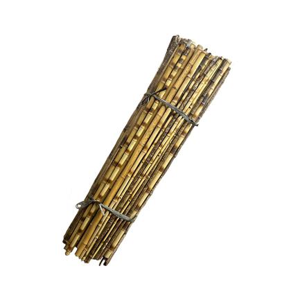 Imagem de Kit 6 Estacas P/ Plantas Haste Natural Tutor Bambu 165cm