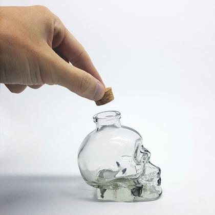 Imagem de Kit 6 Garrafas de vidro Caveira Skull Crânio