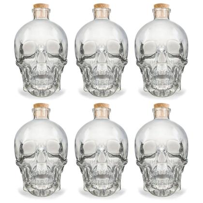 Imagem de Kit 6 Garrafas de vidro Caveira Skull Crânio