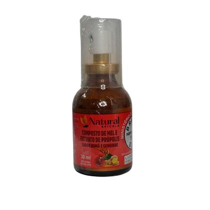 Imagem de Kit 6 mel com propolis roma e gengibre 30ml natural apicola
