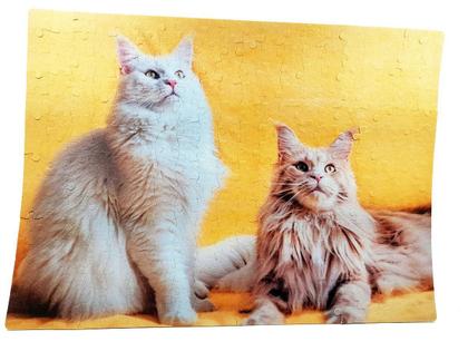 Imagem de Kit 6 Quebra-Cabeças Cognitivos - Gatos 40 Peças