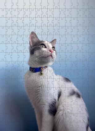Imagem de Kit 6 Quebra-Cabeças Cognitivos - Gatos 40 Peças