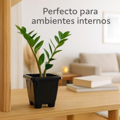 Imagem de Kit 6 Vasos P Quadrados de Plástico com Pézinho 1,9 Litros