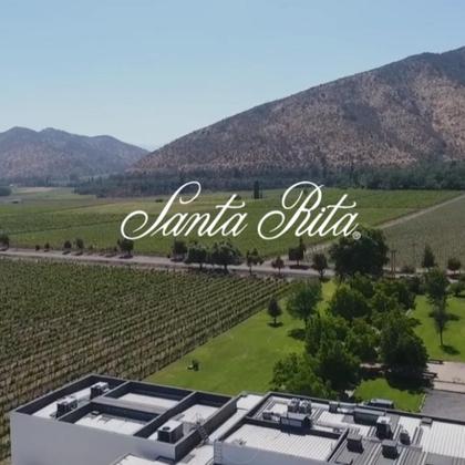 Imagem de KIT 6 Vinho Chileno Bodegas Centenarias Cabernet Sauvignon