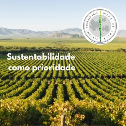 Imagem de KIT 6 Vinho Chileno Chilano Cabernet Sauvignon, 750ml