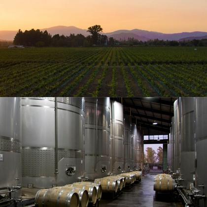 Imagem de KIT 6 Vinho Chileno Puerto Real Reservado Cabernet Sauvignon