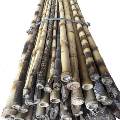 Imagem de Kit 6un Tutor Estaca De Bambu Para Plantas com 120cm