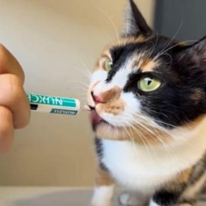 Imagem de Kit 8 Nuxcell Fel Imunidade Suplemento Vitamínico