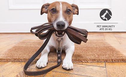 Imagem de Kit 8 Sensores Passivo Sem Fio Ivp 4101 Pet Smart Intelbras