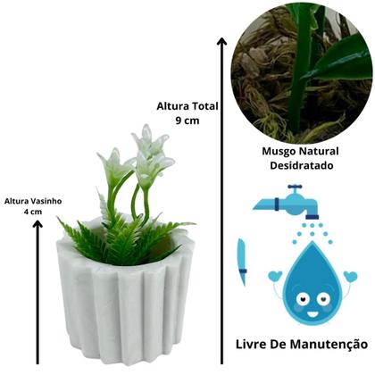 Imagem de Kit 8 Vasinhos Decoração com Plantinhas