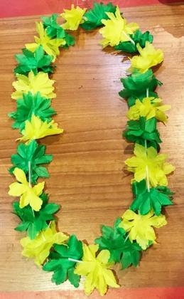 Imagem de Kit Acessórios Torcedor Brasileiro Fanático Copa Mundo 2022