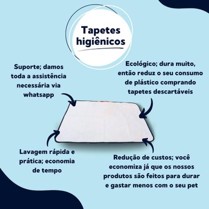 Imagem de Kit Água perfumada 500ml + Difusor de Ambiente c/Varetas 250ml Champanhe + 9 Tapetes Higiênicos