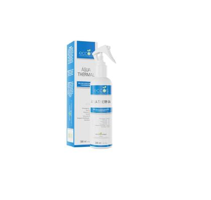 Imagem de KIT ÁGUA THERMAL 300ml + INNOVA DUST POWER LIFTING 90g